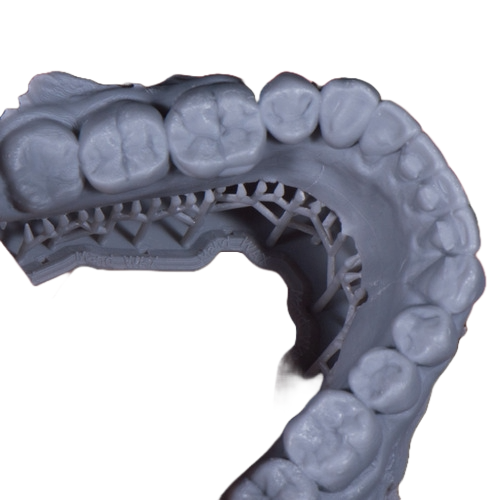 Patient Lab Model(s)